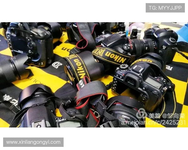 问鼎娱乐集团娱乐平台:丰富的娱乐资源助力用户享受全天候的精彩时光