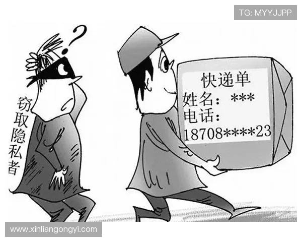 问鼎官网下载安装app安全保障措施，确保用户下载过程中的信息安全与隐私保护