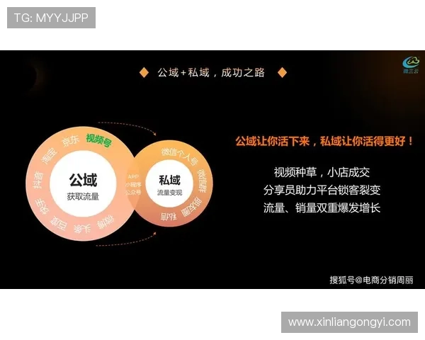 问鼎网站app：结合SEO优化实现网站流量持续增长的实用方案